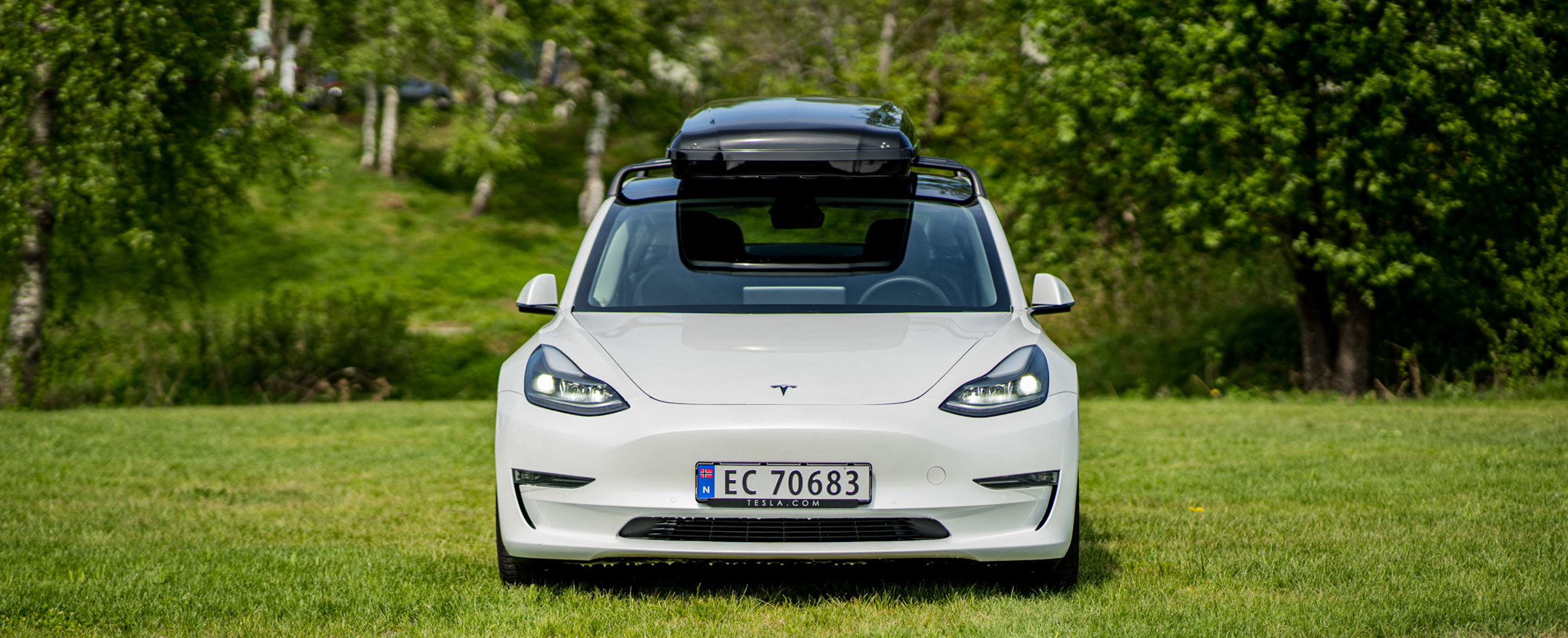 Model 3 (19-)