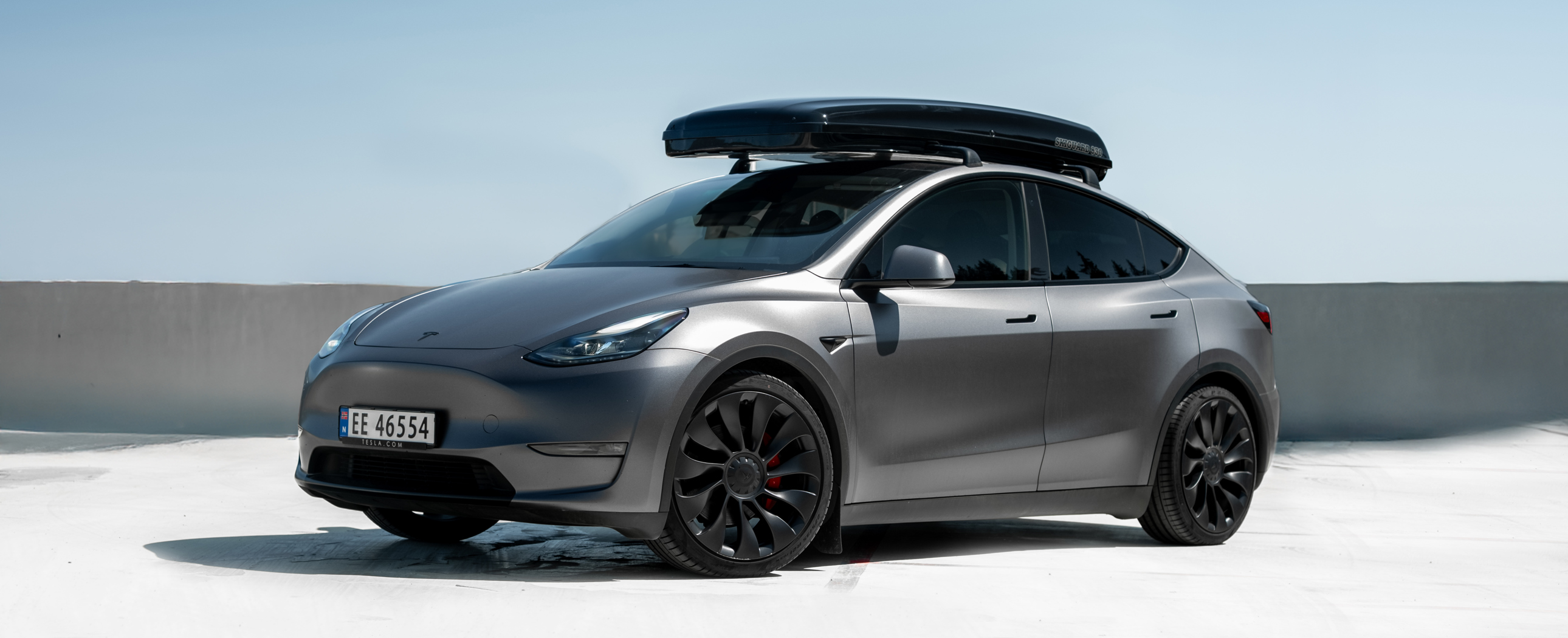 Model Y (21-)